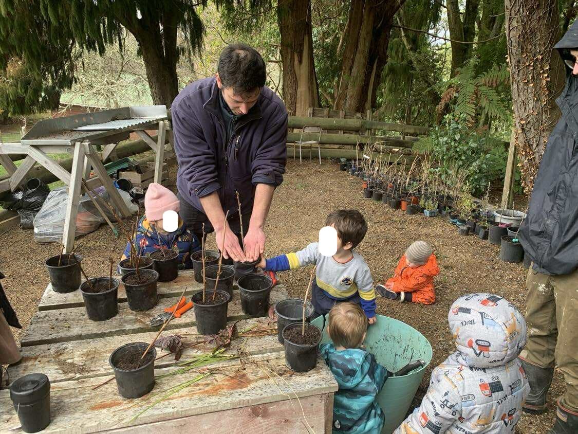 Agroforestry Nursery